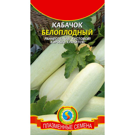Кабачок Белоплодный Плазма Ц