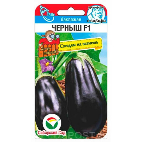 Баклажан Черныш СибСад Ц