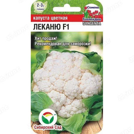 Капуста цветная Леканю СибСад