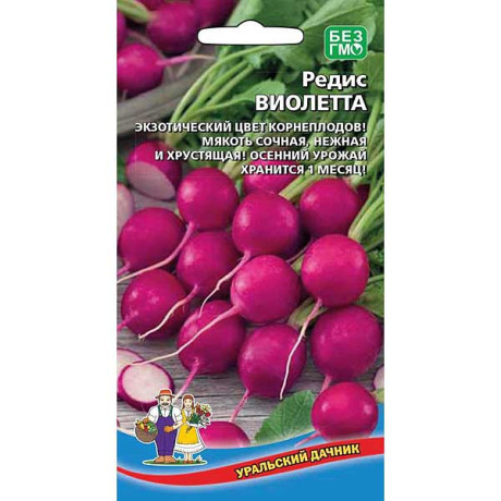 Редис Виолетта Марс Ц