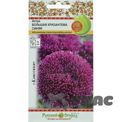 Астра Большая хризантема синяя НК Ц