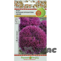 Астра Большая хризантема синяя НК Ц