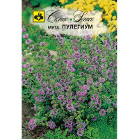 Мята Пулегиум Семко Ц