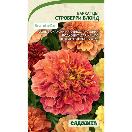 Бархатцы Строберри Блонд 5шт Садовита Ц