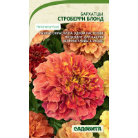 Бархатцы Строберри Блонд 5шт Садовита Ц