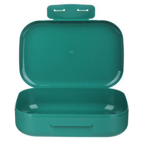 Ланч-бокс 0,8л (17,9х12,8х5,2см), пластик, 3 дизайна