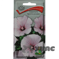 Лаватера Красотка розовая Поиск Ц