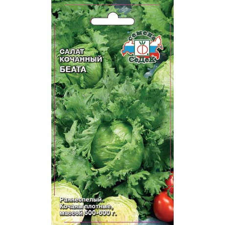 Салат Беата Седек Ц