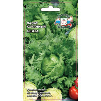 Салат Беата Седек Ц