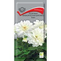 Георгин Барокко Белая Поиск Ц