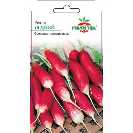 Редис 18 дней Седек Ц