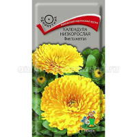 Календула Фиеста желтая Поиск Ц
