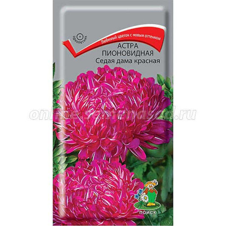 Астра Седая дама красная Поиск Ц
