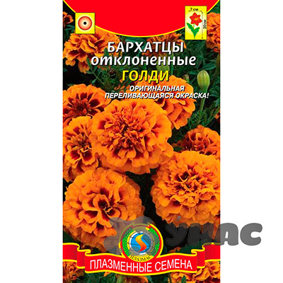 Бархатцы Голди Плазма Ц