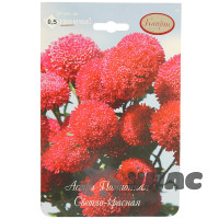 К Астра Совершенство Помпонная Св-Красная Каприс