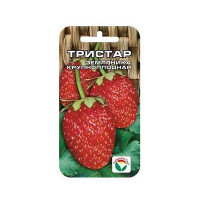 Клубника Тристар СибСад Ц