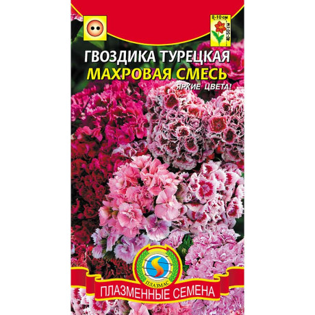 Гвоздика турецкая махровая Плазма Ц