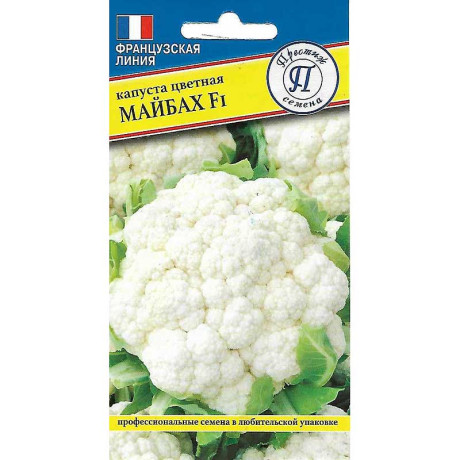 Капуста Цв. Майбах Престиж Ц
