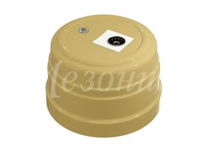 МЕЗОНИНЪ УСАДЬБА роз. ТВ оконечная(SAT) ОУ 1 мест. песочное золото ABS-пластик GE30321-32