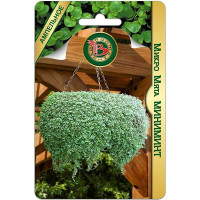 Мята микро Миниминт Биотехника Цх10