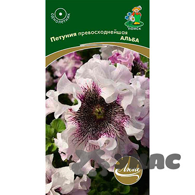 Петуния превосходнейшая Альба Поиск Ц