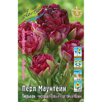Тюльпан Перл Маунтейн 11/12 3 шт