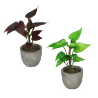 LADECOR Цветок искусственный в кашпо, 6х15 см, целлюлоза, PU, пластик, 2 дизайна