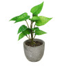 LADECOR Цветок искусственный в кашпо, 6х15 см, целлюлоза, PU, пластик, 2 дизайна