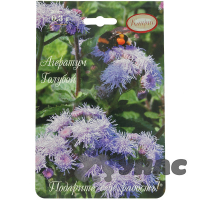 К Агератум Голубой (Голубое море) (Германия) Каприс