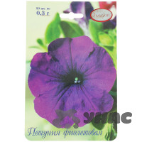 К Петуния Фиолетовая Каприс