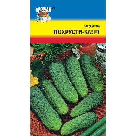 Огурец Похрусти-ка Урожай у дачи Ц