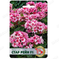 Пеларгония Стар Рейн Биотехника Ц