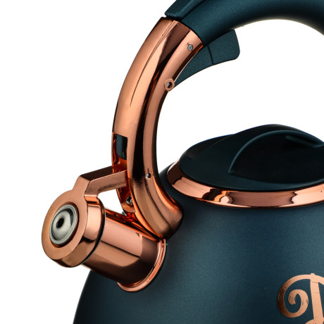 VETTA Чайник стальной 2,7л "Арно", индукция