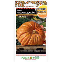 Тыква Атлантик джайн НК