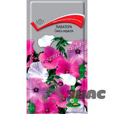 Лаватера смесь Поиск Ц