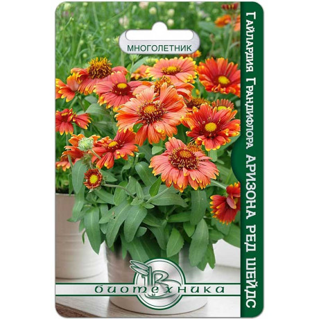 Гайлардия Аризона Ред Шейдс Биотехника Ц