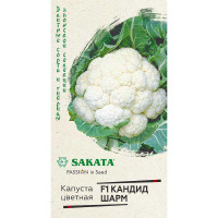 Капуста цв. Кандид Шарм Гавриш Ц