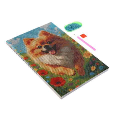 ХОББИХИТ Картина из страз, комплект (стразы, основа, палочка), 20х30см, 10 дизайнов