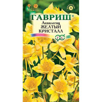 Аквилегия Желтый кристалл Гавриш Ц