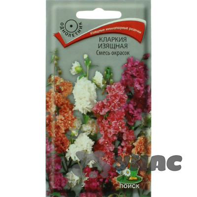Кларкия Смесь окрасок Поиск Ц