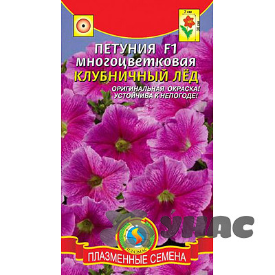 Петуния Клубничный лед Плазма Ц