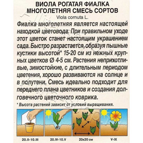 Виола Фиалка многолетняя Аэлита