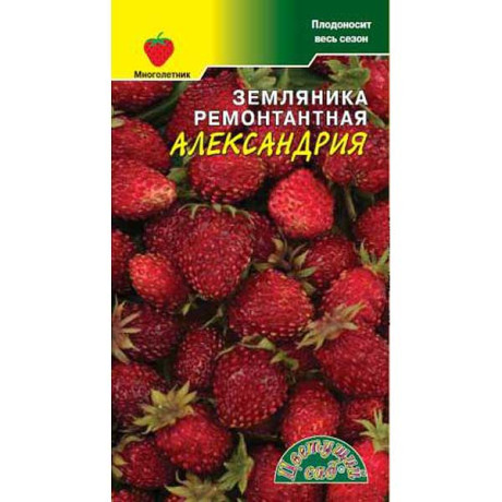 Земляника Александрия Цветочный Сад Ц