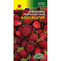 Земляника Александрия Цветочный Сад Ц