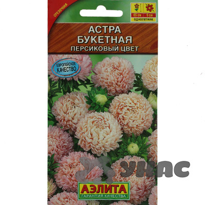 Астра Букетная персиковый цвет Аэлита Ц