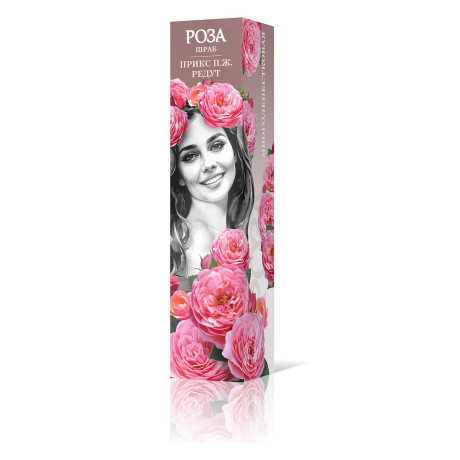 Роза шраб Прикс П.Ж. Редут Садовита