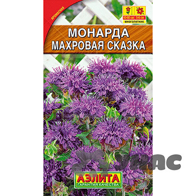 Монарда Махровая сказка Аэлита Ц