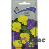 Фиалка Модница рогатая Поиск Ц