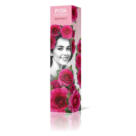 Роза флорибунда Интрига Садовита