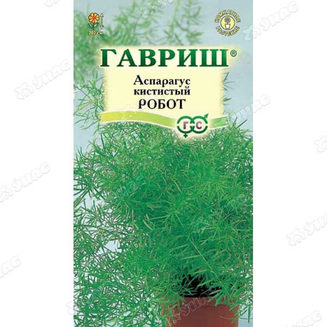 КОМ Аспарагус Робот кистистый Гавриш Ц